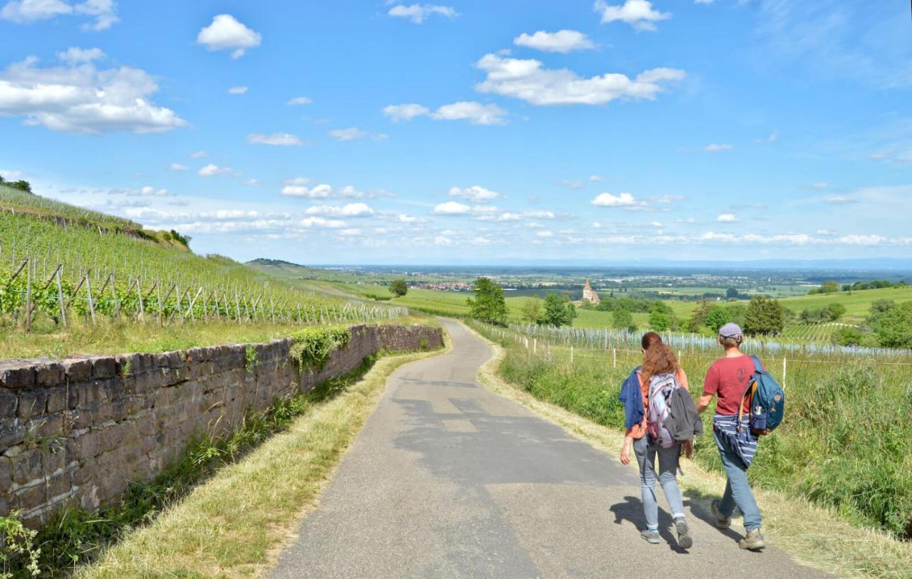 Gite Chez "Mamie Schlop" キーンツハイム エクステリア 写真